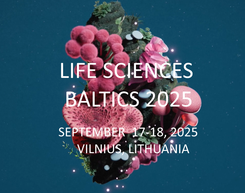 vilnus lsb 2025